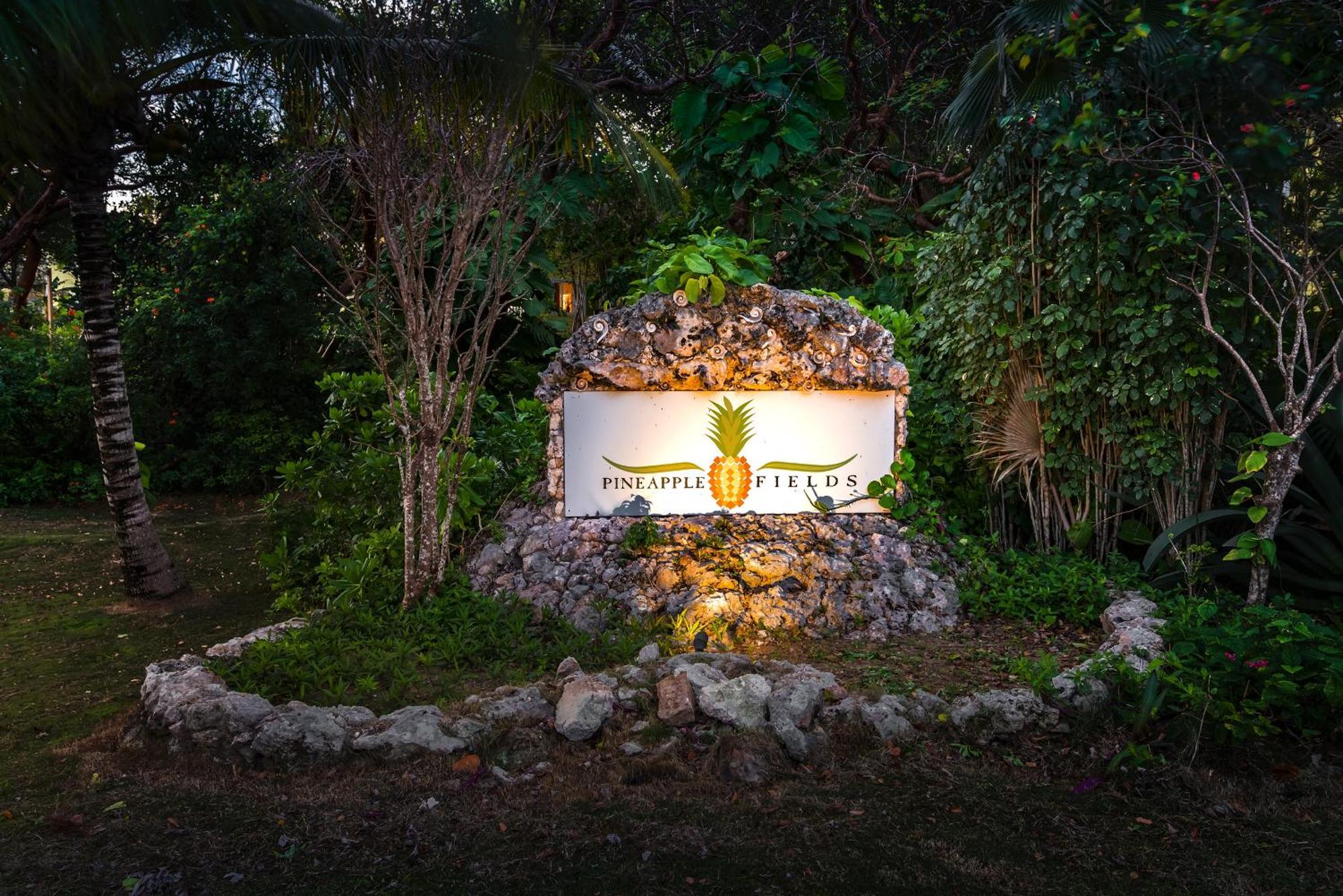 Pineapple Fields Aparthotel Governor's Harbour Exterior foto